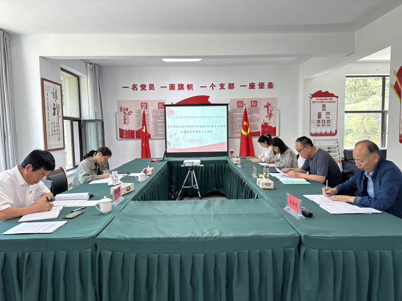 刀刃向內(nèi)深入剖析 貫通融合落實(shí)整改&mdash;&mdash;民爆公司黨支部召開主題教育專題民主生活會(huì)