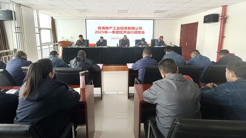 物產(chǎn)工投公司召開2025年第一季度經(jīng)濟(jì)運行調(diào)度會
