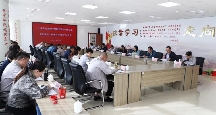 省物產(chǎn)集團黨委召開黨的建設(shè)工作領(lǐng)導(dǎo)小組（擴大）會議