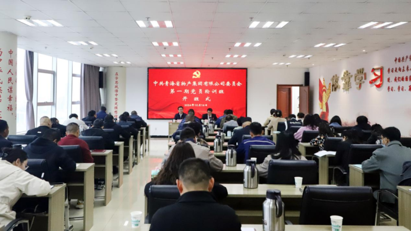 鑄魂強(qiáng)基 聚力賦能&mdash;&mdash;集團(tuán)黨委2024年第一期黨員輪訓(xùn)班圓滿(mǎn)結(jié)束