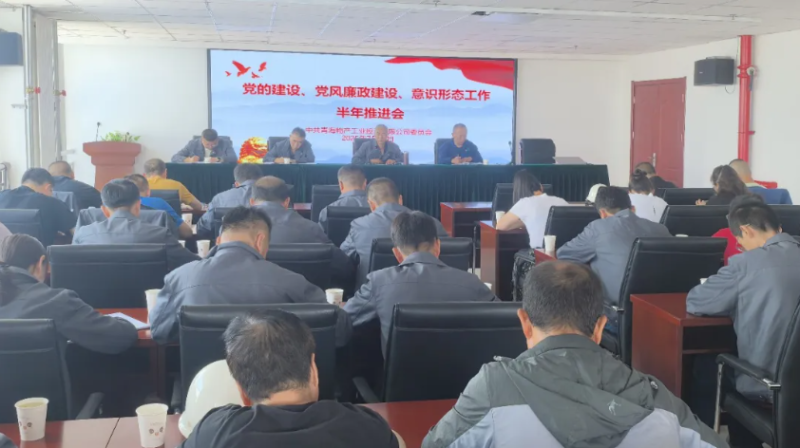 工投公司黨委召開黨的建設(shè)、黨風(fēng)廉政建設(shè)、意識形態(tài)工作半年推進(jìn)會